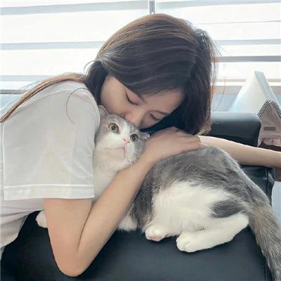 彗星的轨迹